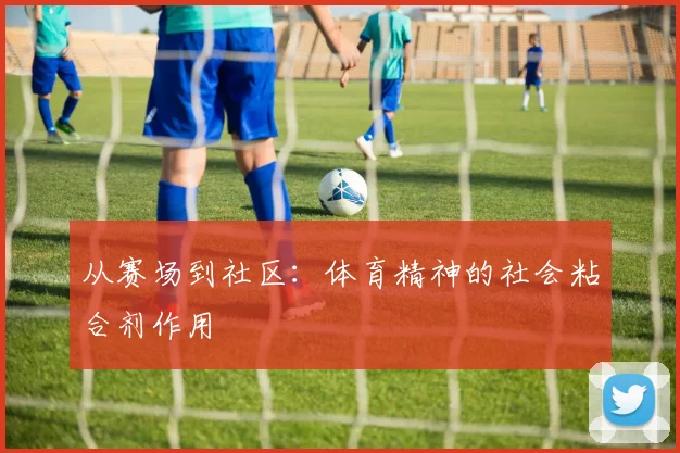 从赛场到社区：体育精神的社会粘合剂作用