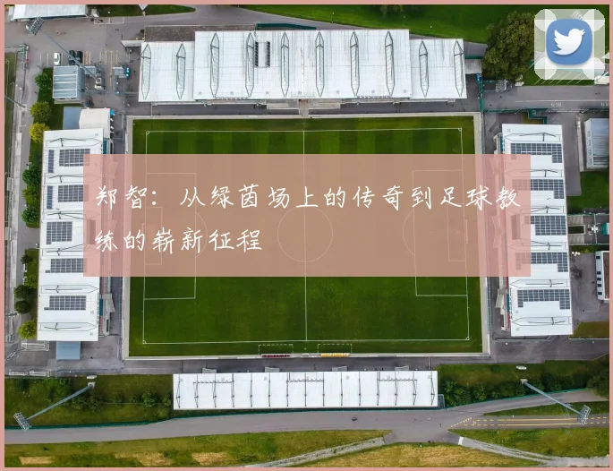 郑智：从绿茵场上的传奇到足球教练的崭新征程
