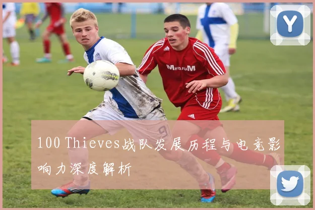 100 Thieves战队发展历程与电竞影响力深度解析