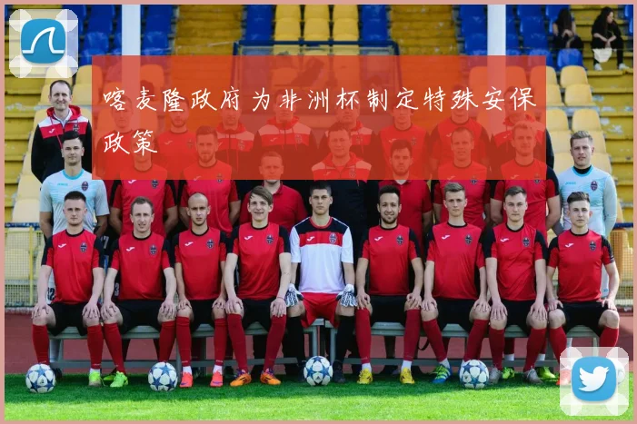 喀麦隆政府为非洲杯制定特殊安保政策