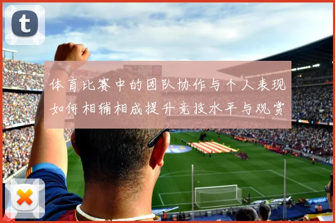 体育比赛中的团队协作与个人表现如何相辅相成提升竞技水平与观赏性